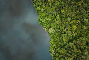 image Amazonie